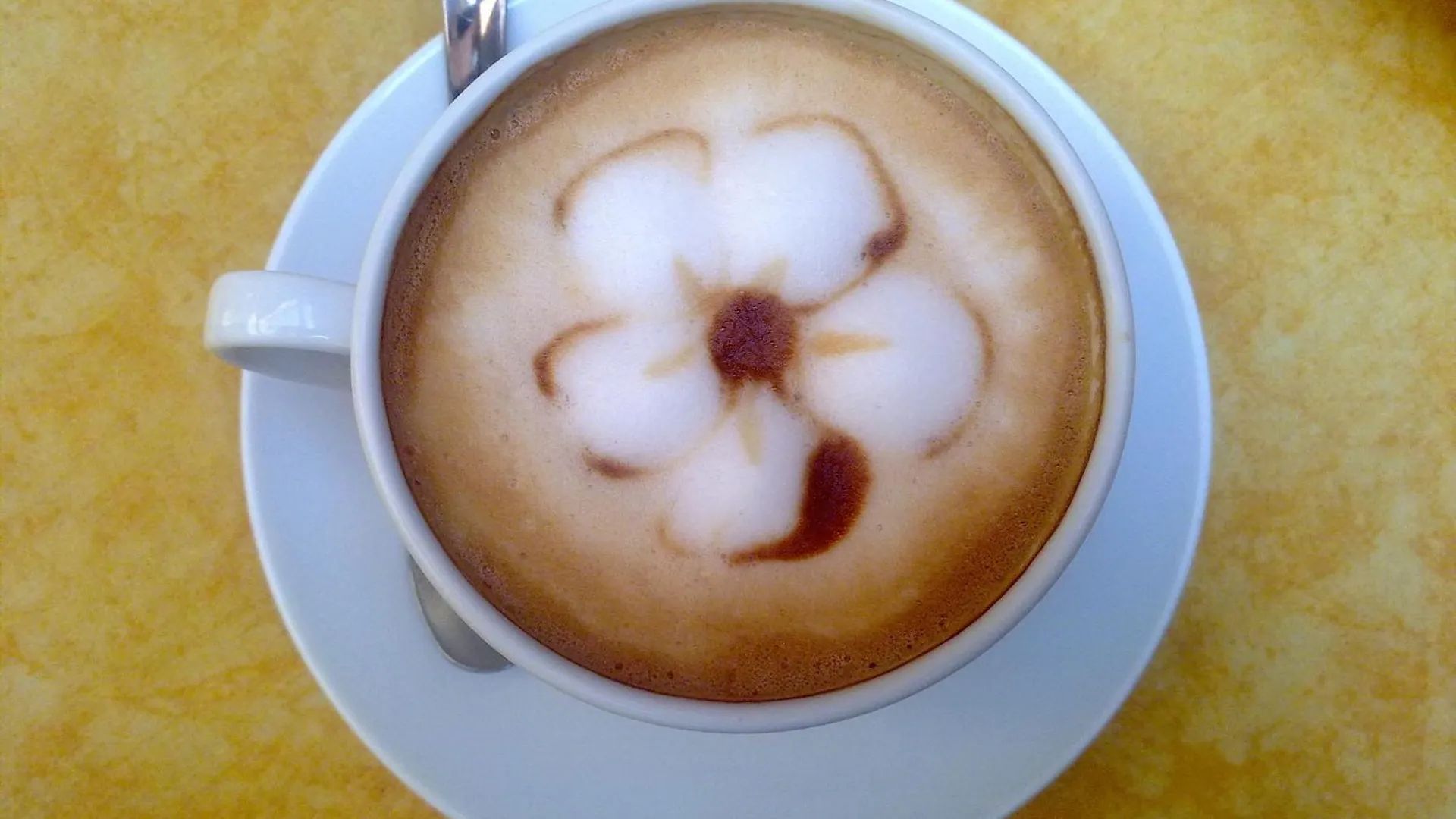 Bed and Breakfast 3749 Pontechiodo Venecia