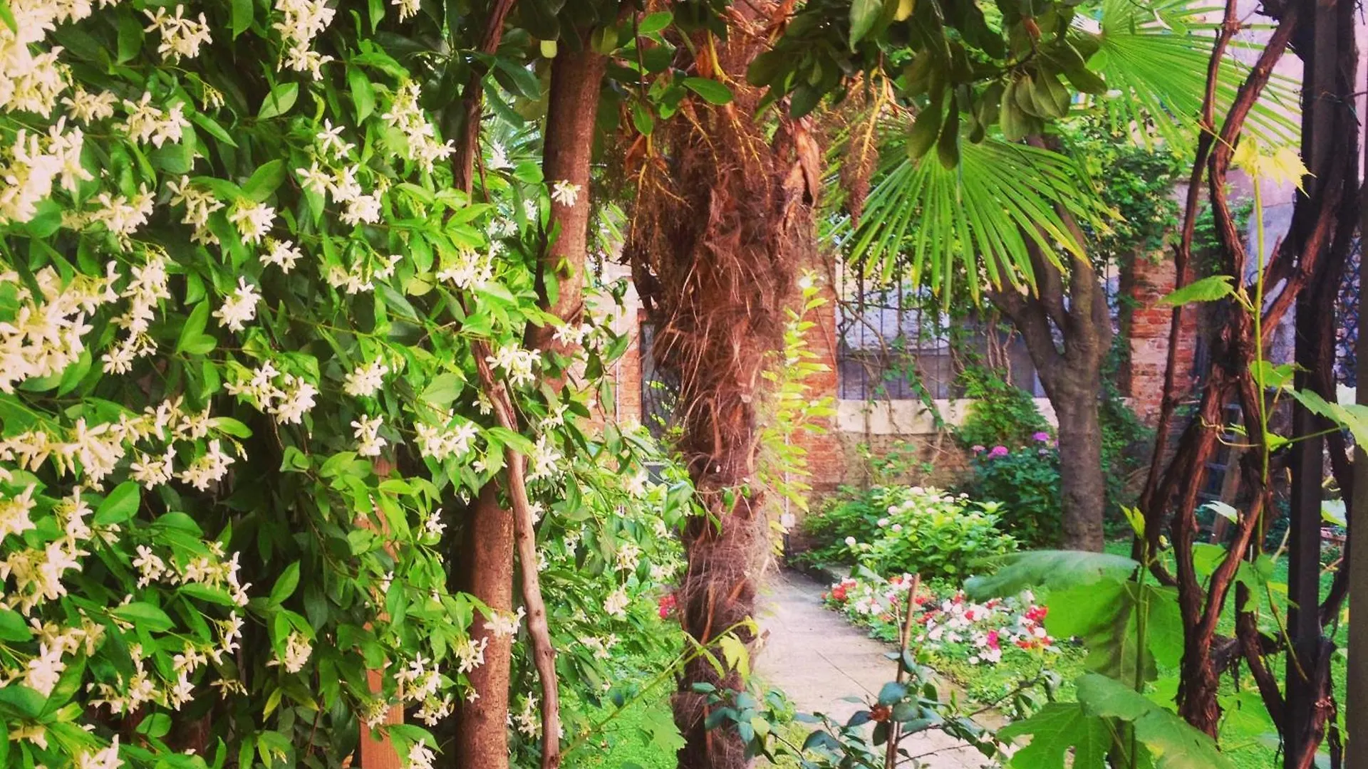 3749 Pontechiodo Bed & Breakfast Venice