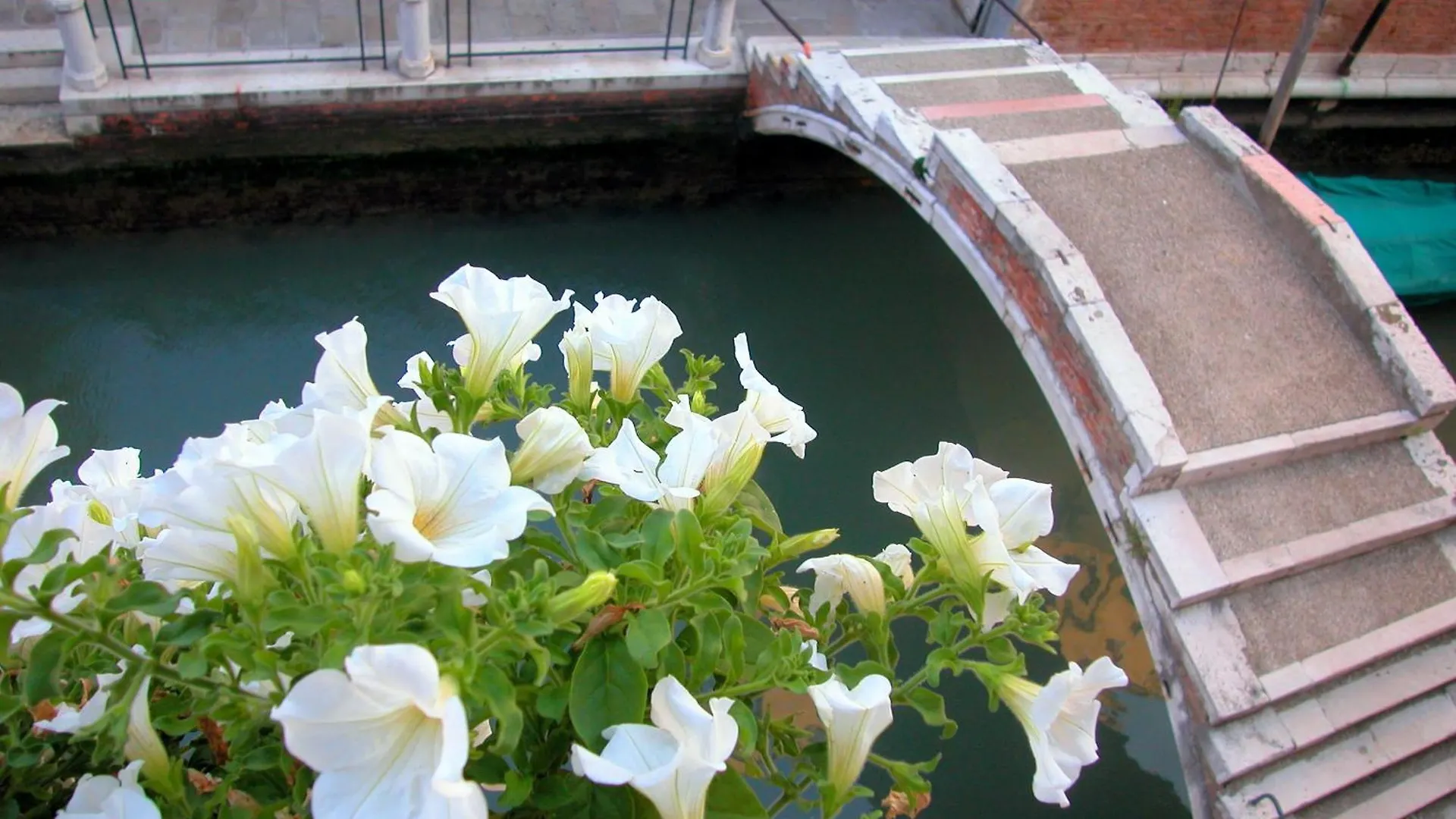 3749 Pontechiodo Bed & Breakfast Venice